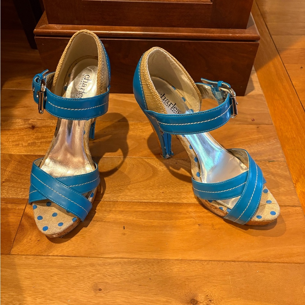 Charles David Blue Stiletto Heels